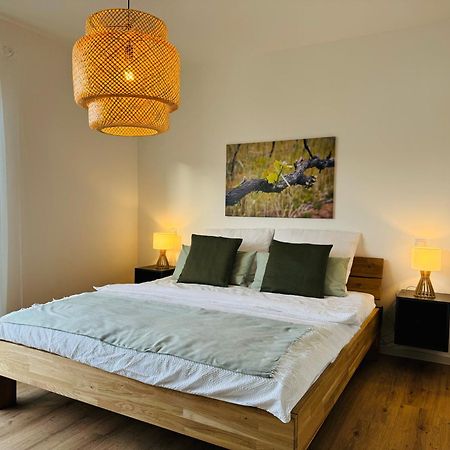 Moderne Ferienwohnung Mit Terrasse, Grill & Privatparkplatz Venningen Eksteriør billede